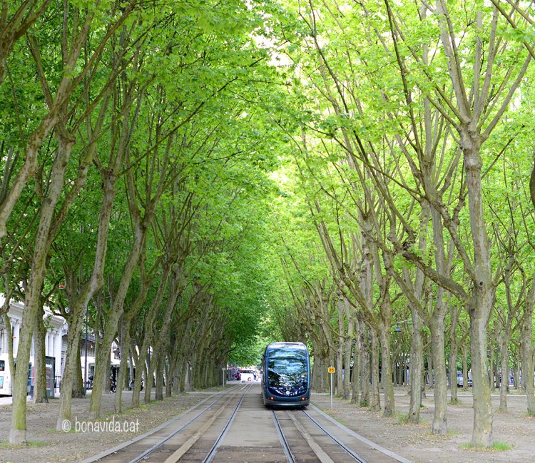 El tranvia de la ciutat