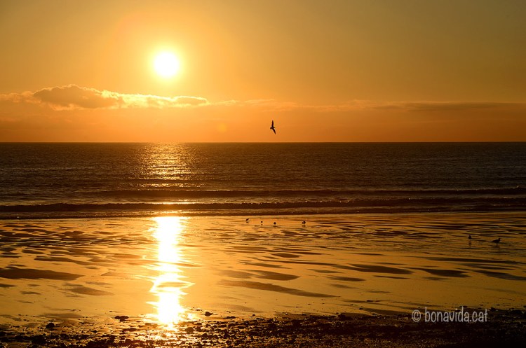 Moments màgics a la Baie des Trépassés