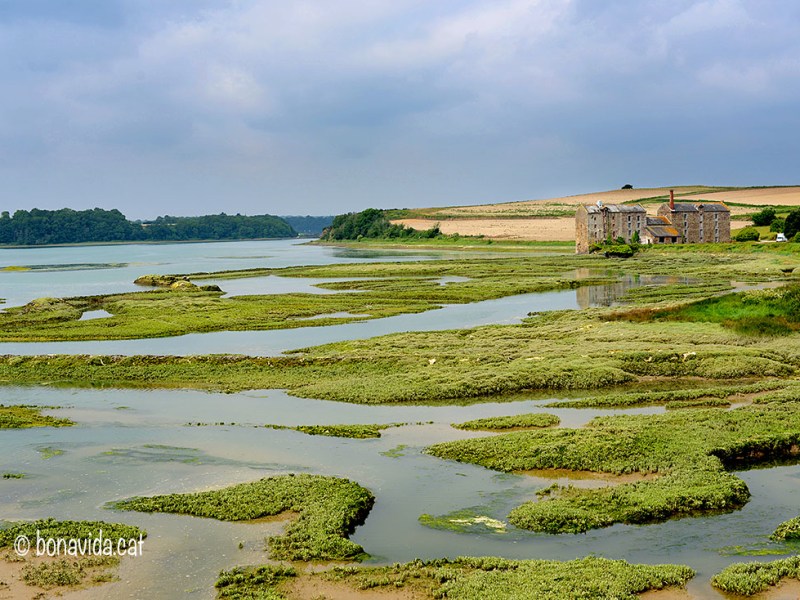 RUTA BRETANYA – NORMANDIA. Dia 8. Dinard i el Cap&nbsp;Fréhel