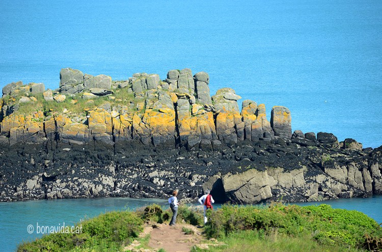 La tonalitat ocre de les roques contrasta amb la turquesa de les aigües