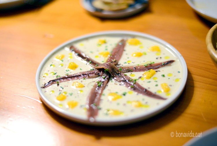 Anxoves del Cantàbric