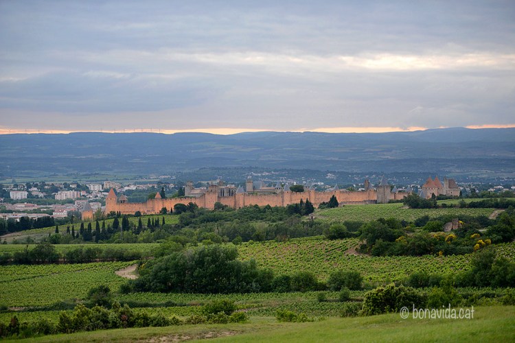 De tornada, ens enamora de nou les vistes del Castell de Carcassone