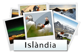 galeria fotos islandia cat