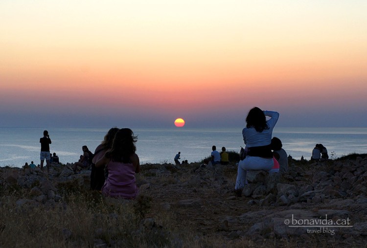 Punt de trobada indispensable!