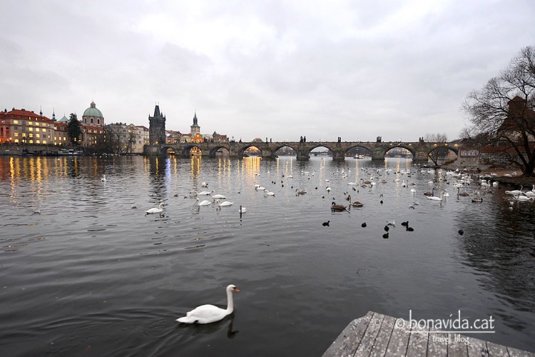 praga carles pont 07