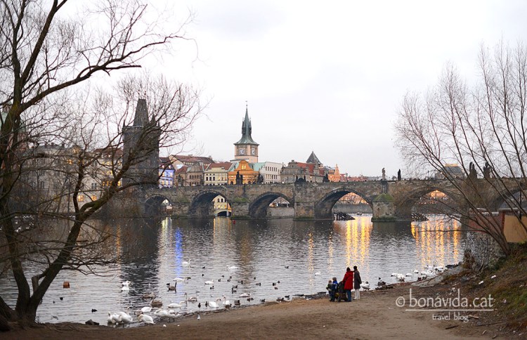 praga carles pont 08