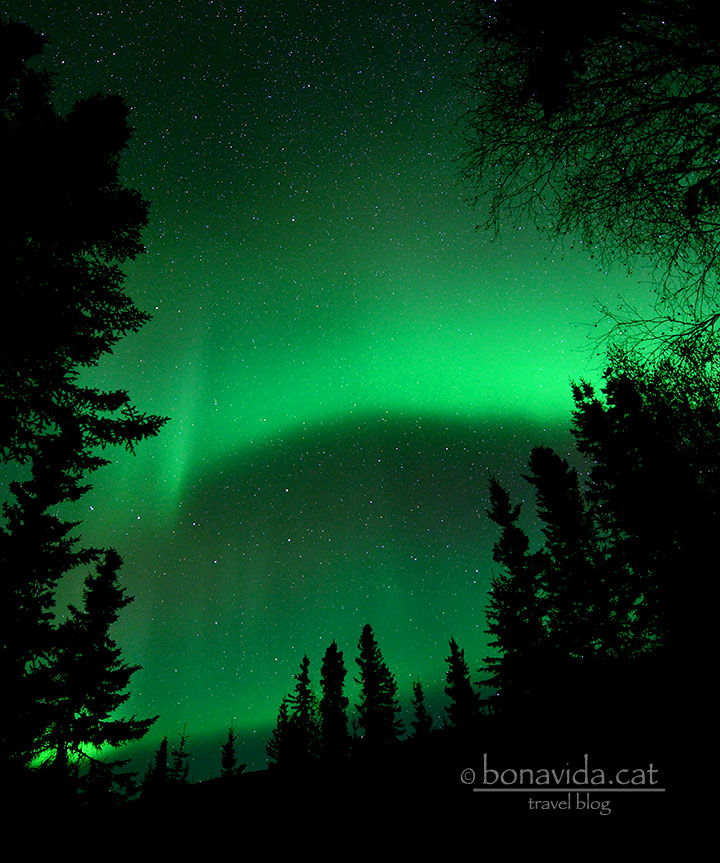 No pots parar de mirar el cel