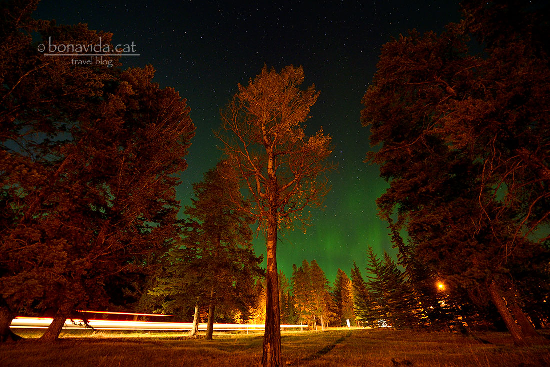 Fotografiar-les és tot un repte. Ens encanta!