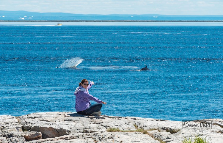 canada_tadoussac_cris_balenes