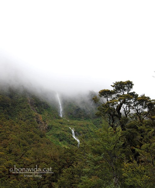Fins i tot els dies de boira són macos