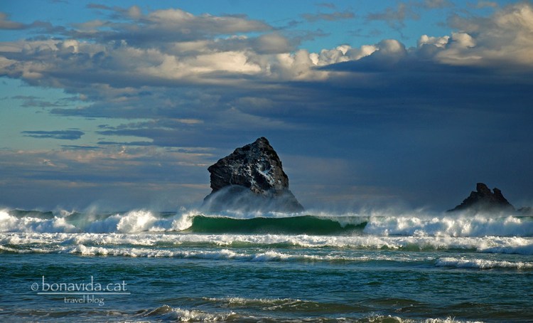Sandfly Bay Beach és una de les platges més maques