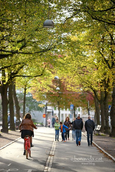 Vasagatan. Una verda avinguda...