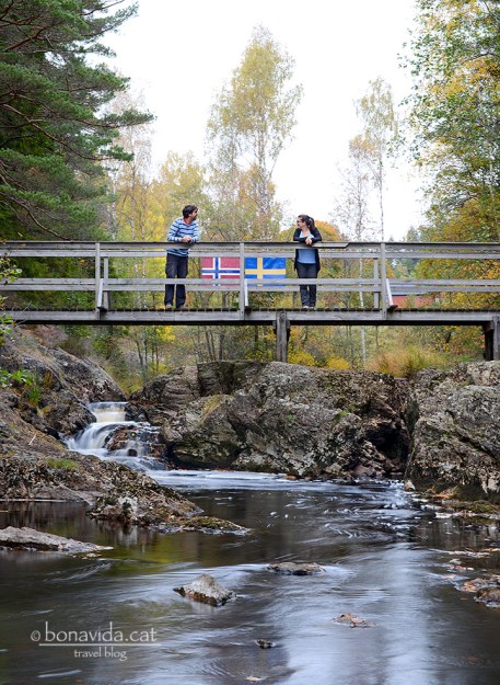 Un noruec coneix a una sueca...
