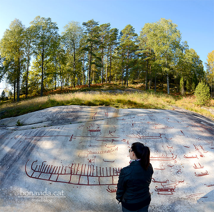 Els gravats de Tanumshede es troben entre boscos