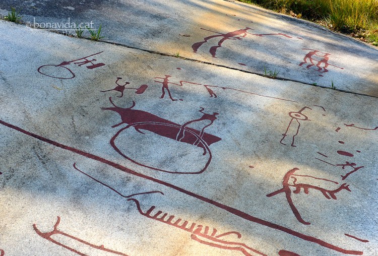 Detall dels gravats a Tanumshede