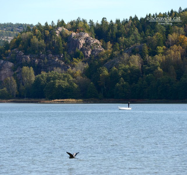 L'aigua és part esencial pels suecs
