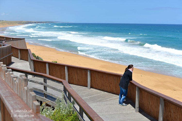 Great Ocean Road. Warrnambool. Logans Beach
