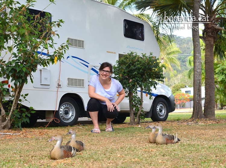 ...càmpings on fer amics...