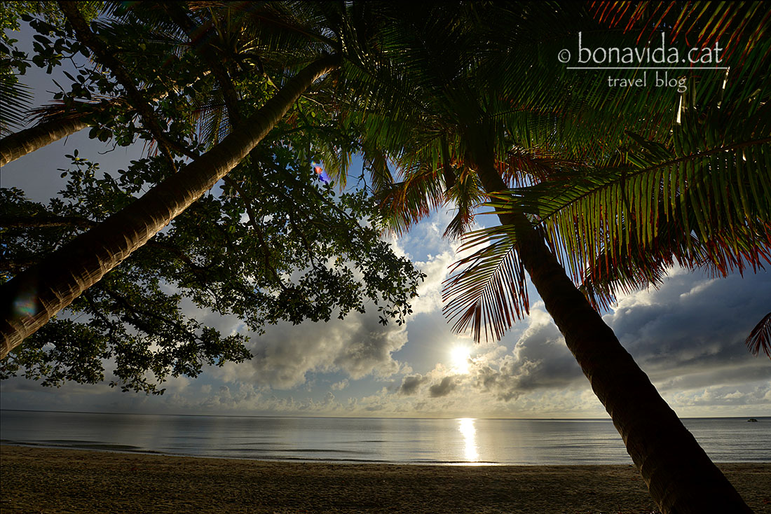 Platja a la sortida del sol