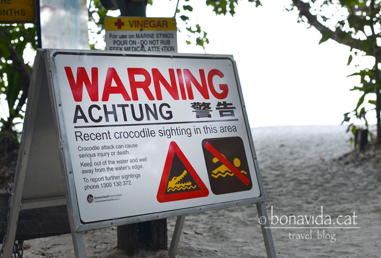 Atenció, s'ha vist un cocodril últimament...