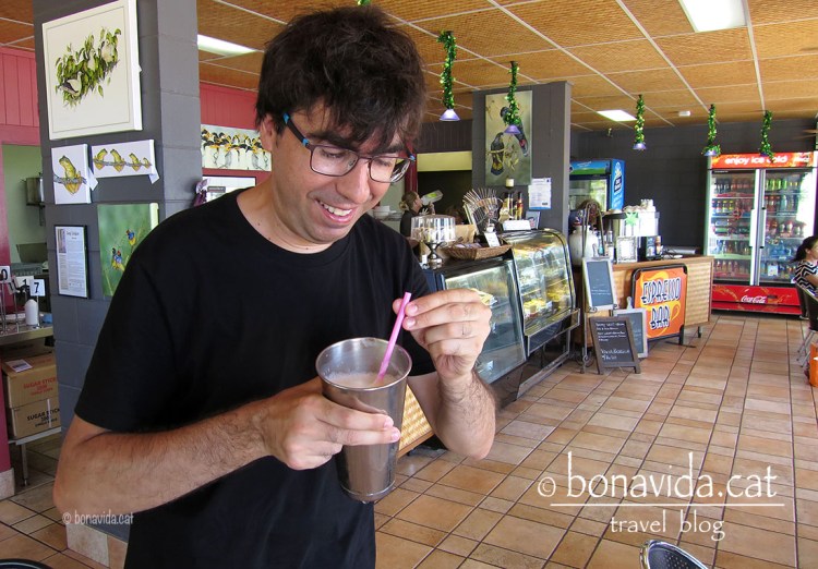 En un altre establiment a peu de carretera tastem un dels millors batuts de la nostra vida