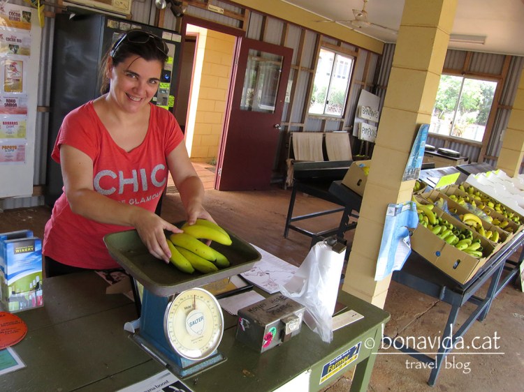 Self service. Els agafes i deposites els diners en una caixa