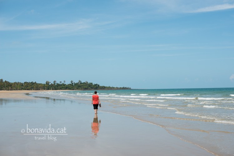 No ens ressisitim a fer la passejada del dia