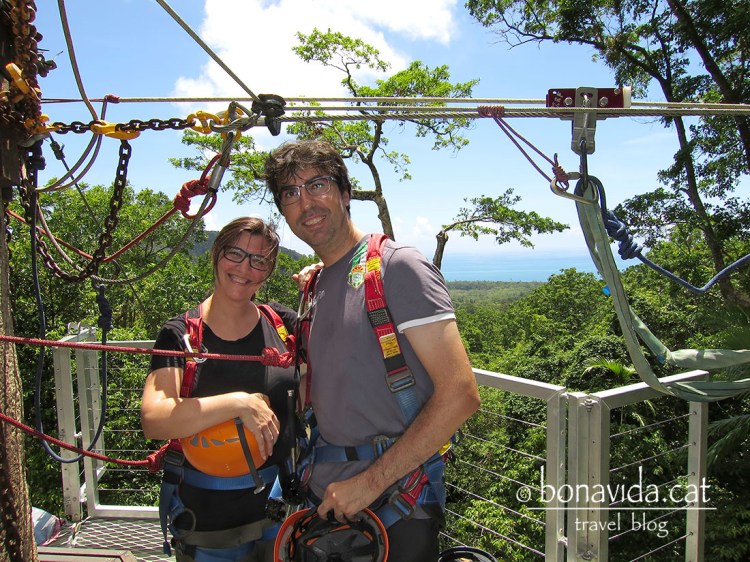 Sobre el cim dels arbres s'han muntat diverses plataformes...