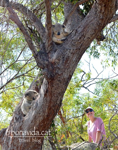 Ep!!!! Per fi en trobem!!