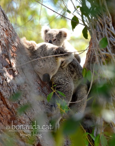 Una mare i la seva cria. Venen ganes d'emportar-se'ls a casa!