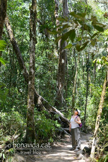 Un petit treking recorre el voral del riu