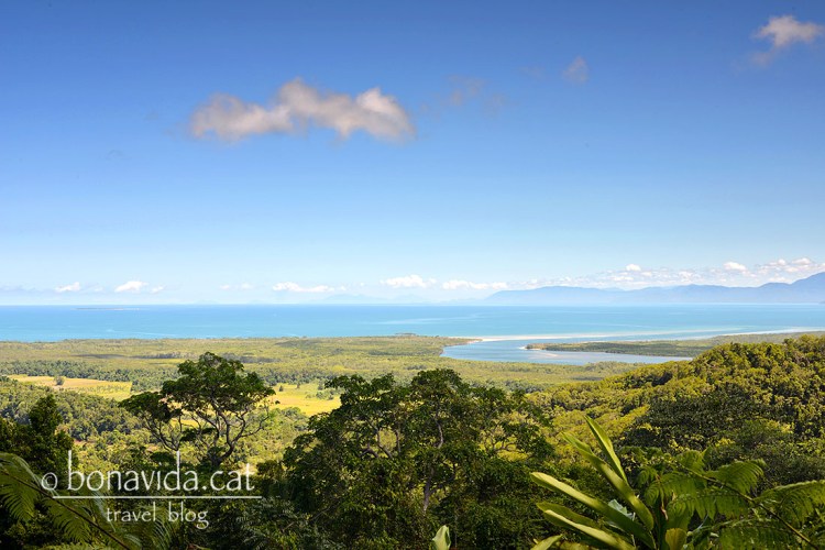 Vistes del Daintree  Park des del Mount Alexandra