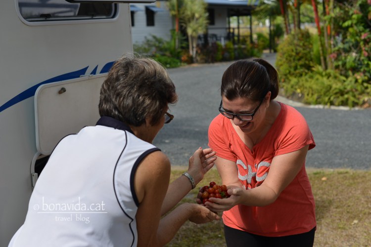 Bon rotllo entre campistes. Una amable senyora ens regala uns fantàstics  tomàquets