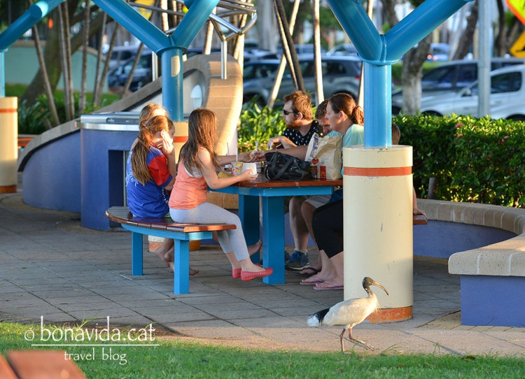 Tenen llocs de picnic a tots els parcs