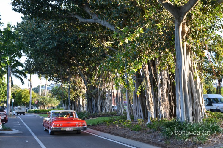 Carrer de Townsville
