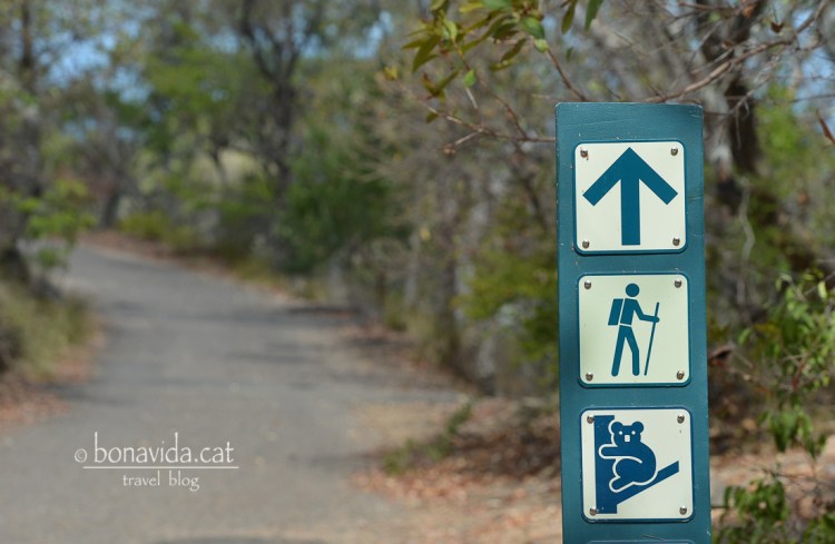 Els camins i tracks estan ben indicats