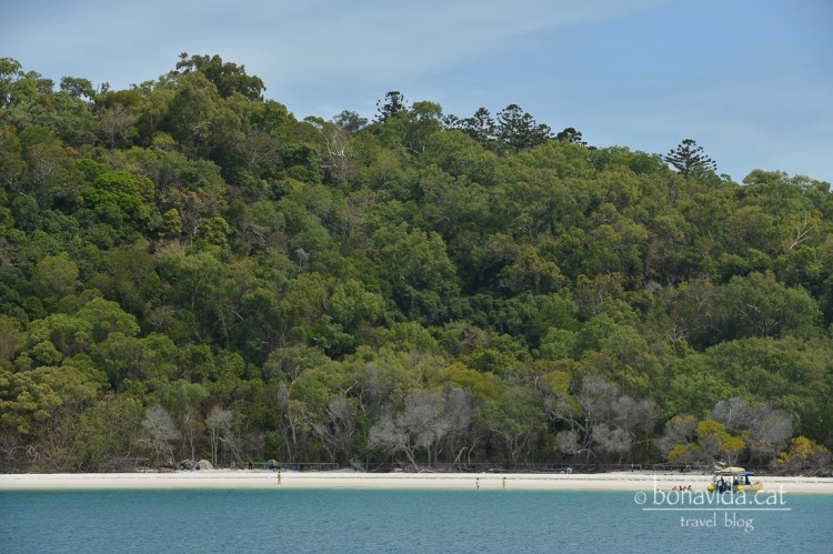 Tenim plaça per veure la famosa Whitehaven Beach!