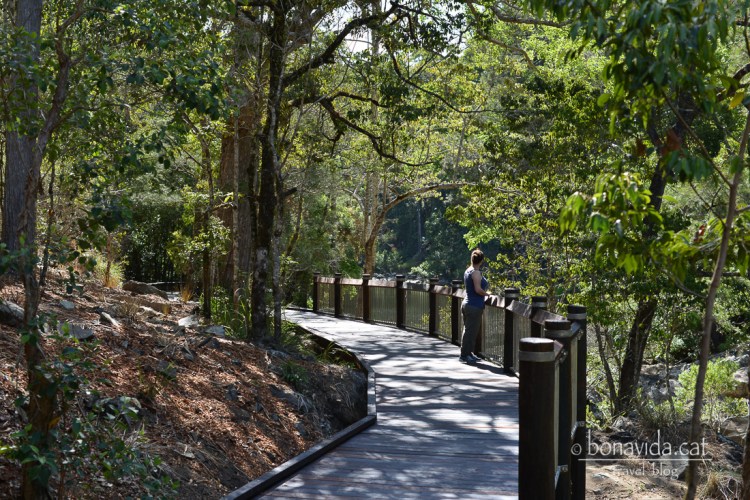 I existeixen diferents tracks al Parc