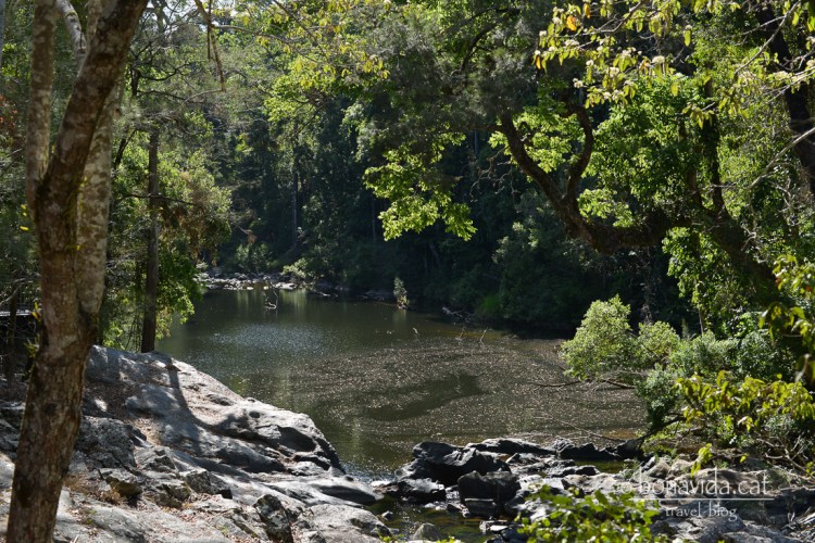 Als rius poden observar-se ornitorrincs