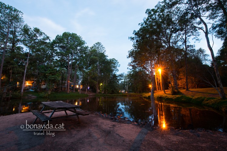 Zona d'acampada de la darrera nit amb l'autocaravana