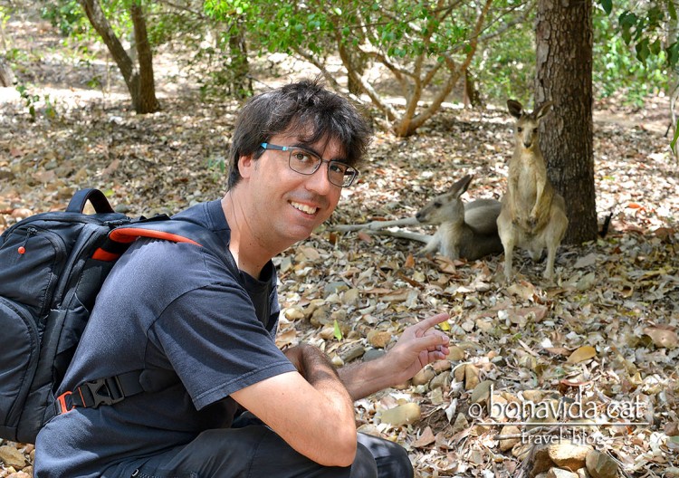 Fent amics australians