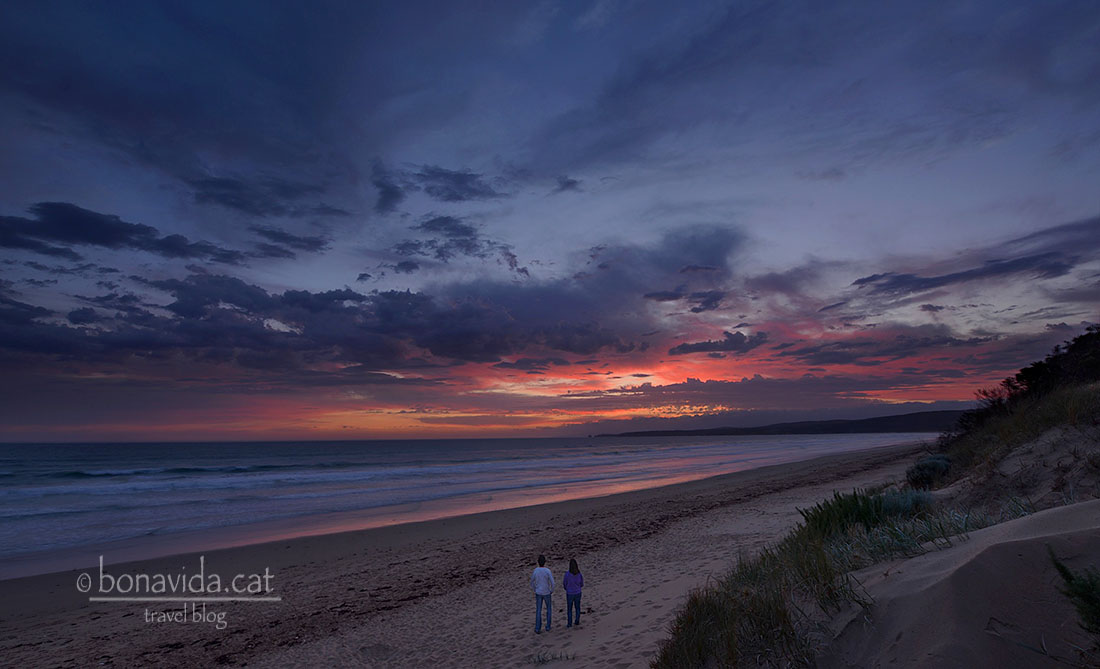 Completament sols a The Gulch Beach