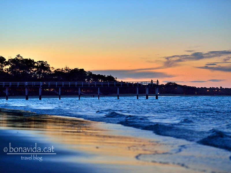 Ruta Austràlia. Dies 19 i 20. Hervey Bay & Fraser&nbsp;Island