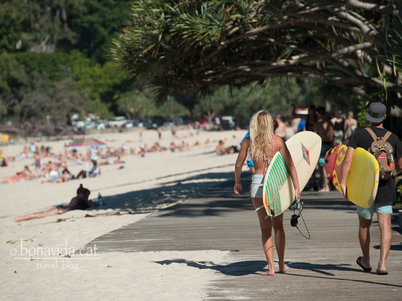 Ruta Austràlia. Dies 21 i 22. Noosa & Australia&nbsp;Zoo