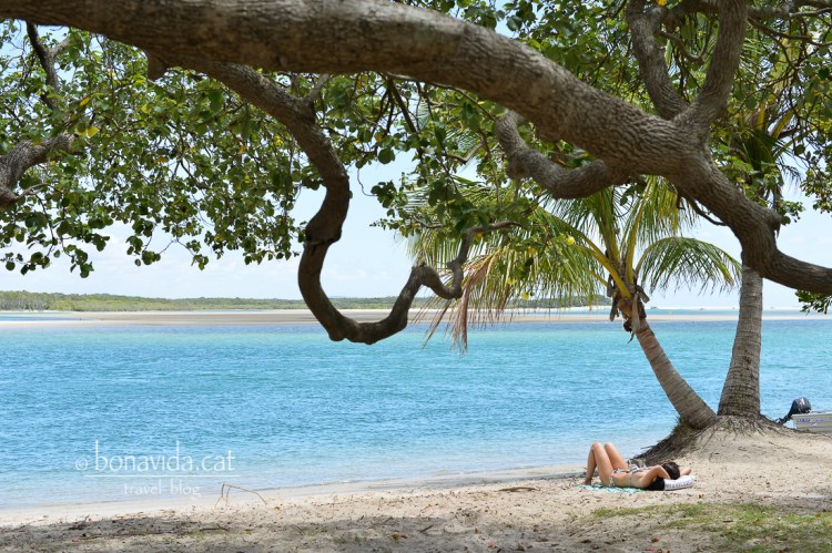 Prenent el sol al riu Noosa