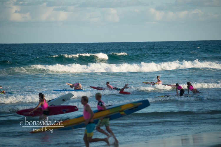 Aprenents de vigilantes de la playa