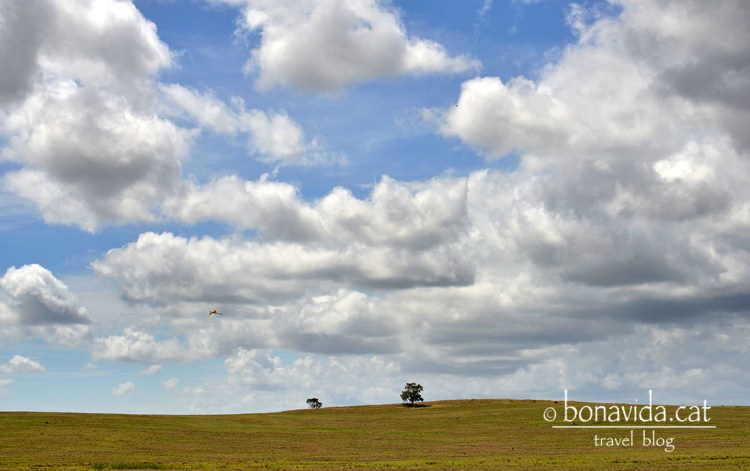 australia paisatge carretera