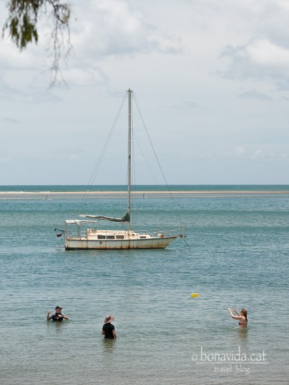 Tot és ple de velers