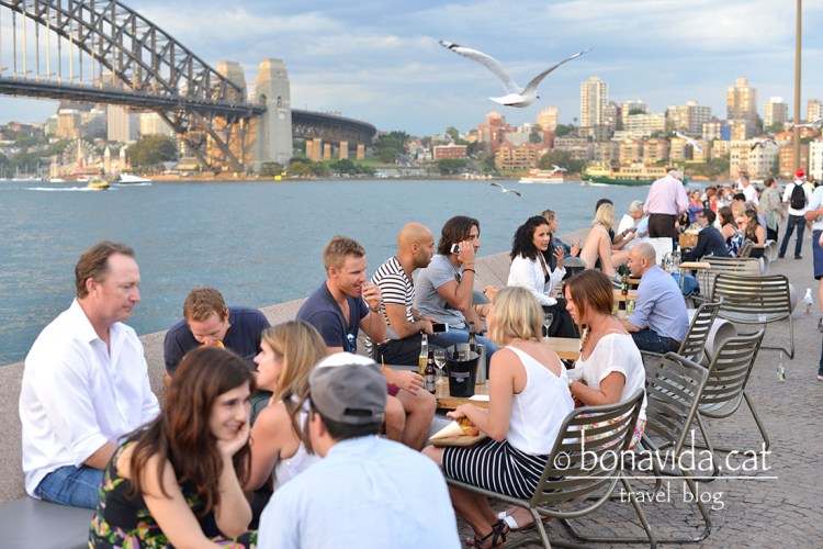 Bars a l'Opera House