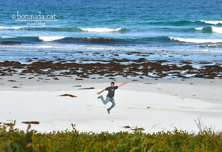 Fent el pallasso a Denison Beach